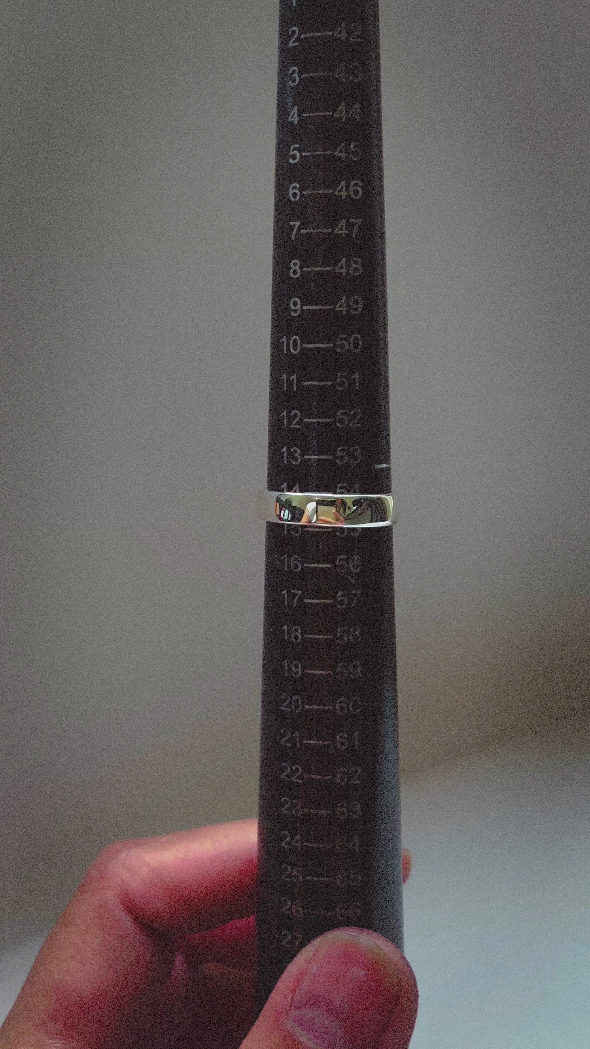 Zilverensmallezegelringmetzoetwaterparel